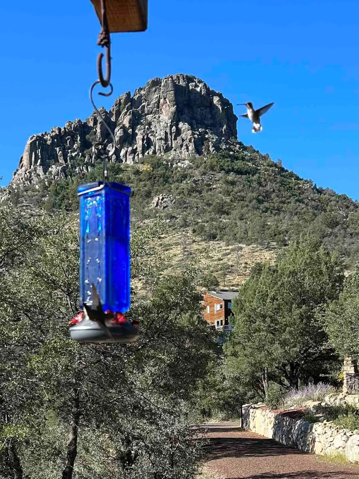 A close-up of a hummingbird feeding at a blue feeder with a rocky mountain backdrop. The scene is lush and green, evoking the feeling of being immersed in nature, and hints at the property's proximity to natural trails and wildlife.