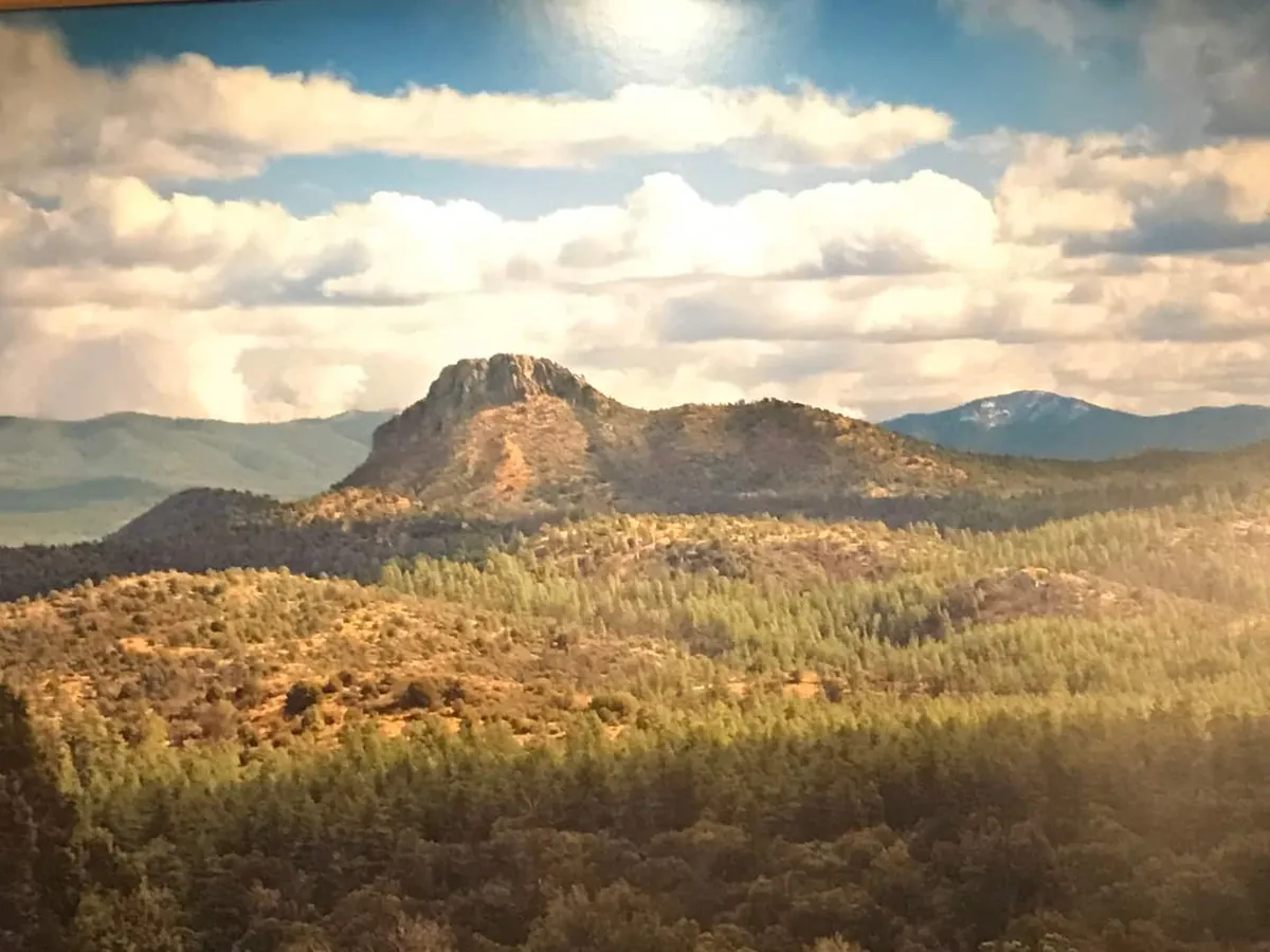 A breathtaking panoramic view of a distant mountain peak above an expansive forest canopy, with clouds drifting in a tranquil sky. The untouched natural landscape invites exploration and appreciation of the area's beauty.